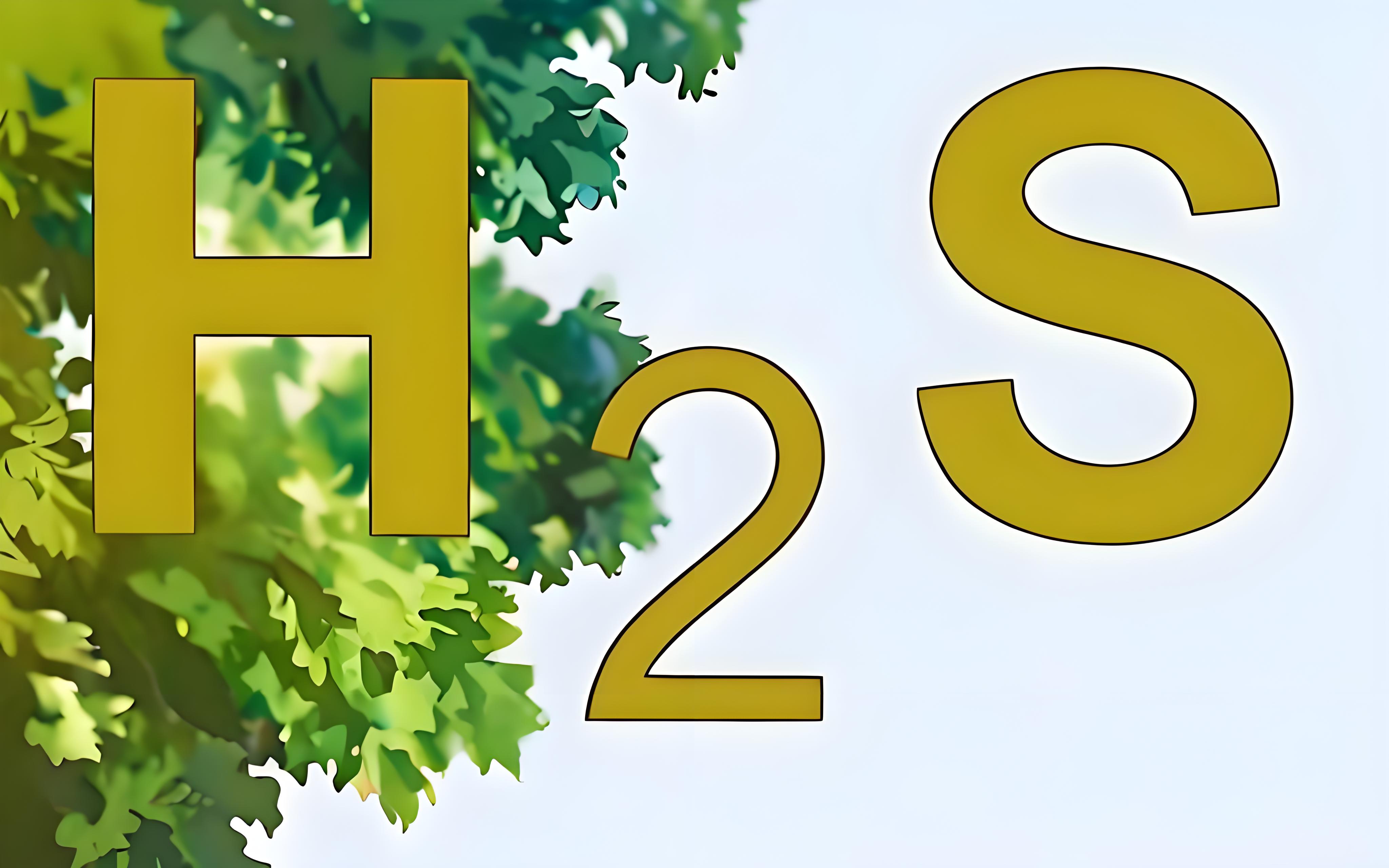 氣體檢測儀氫氣報警閾值和硫化氫的有什么區(qū)別？